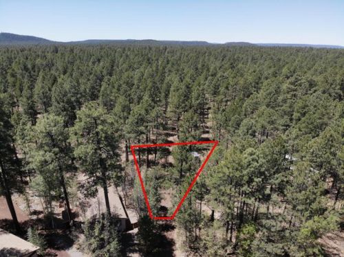 5301 Blue Ridge Loop, Pinetop, AZ 85935-8516