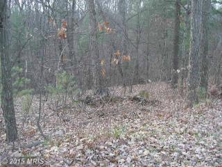 202 Raccoon Ln, Gerrardstown WV  25420-3060 exterior