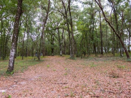 11900 Istachatta Rd, Floral City FL  34436-4329 exterior