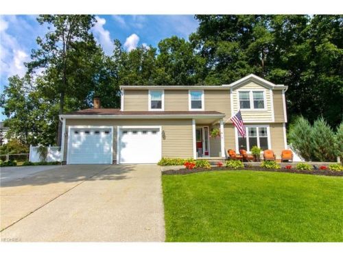 10458 Belleau Dr, Twinsburg, OH 44087-1137
