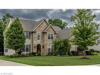 4252 Brownstone Ln, Medina, OH 44256-5551