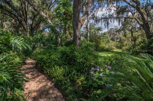 503 Duque Rd, Lutz FL  33549-7602 exterior