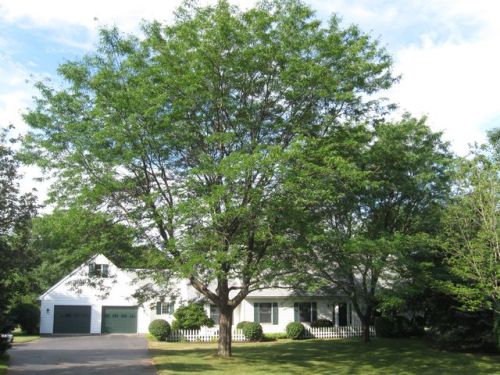 9 Osage Trl, Spencerport, NY 14559-9727