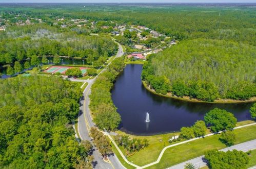 4784 Ridgemoor Cir, Palm Harbor FL  34685-3149 exterior