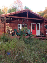 111 Spring Brook Estates Rd, Roscoe, NY 12776-2570