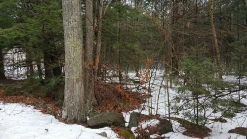 80 East Rd, Orange, MA 01364-9518