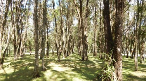 17639 Palamino Lk Dr, Dade City FL 33523-1949 exterior