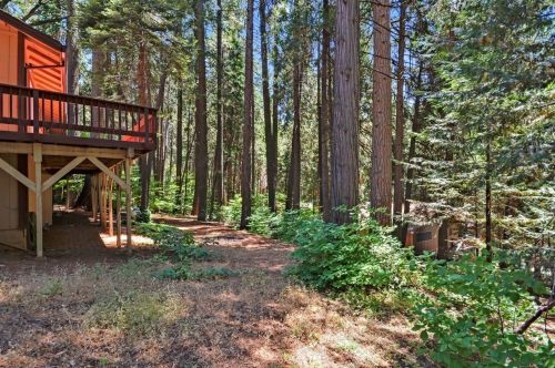 3626 Gold Ridge Trl, Pacific House CA  95726-9734 exterior