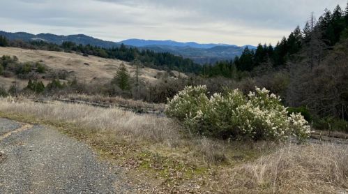 3440 Second Gate Rd, Willits CA  95490-5823 exterior