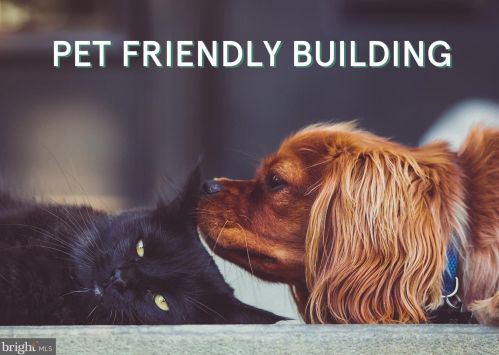 1307 Clifton St, Washington DC 20009-7059 exterior