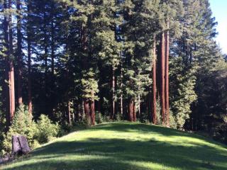 140 William Way, Felton CA  95018-9550 exterior