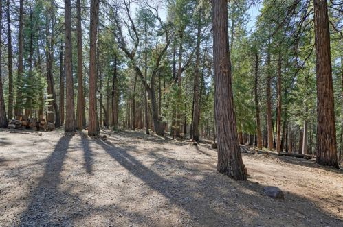 3814 Gold Ridge Trl, Pacific House CA  95726-9740 exterior