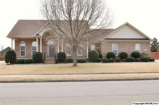 114 Brokenrein Dr, Meridianville, AL 35759-1657