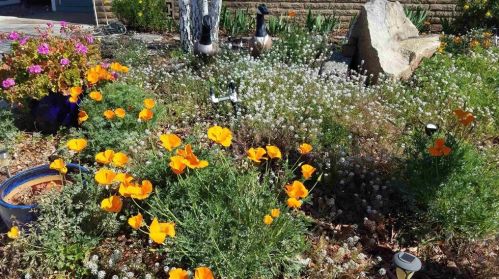 18218 Paradise Mountain Rd, Valley Center CA  92082-7029 exterior