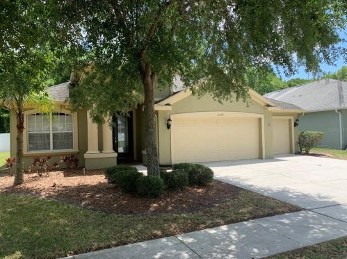 10528 Deerberry Dr, Land O Lakes FL  34638-6947 exterior