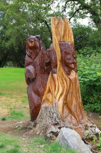 18764 Falcon Loop, Lake Wildwood CA  95946-9200 exterior