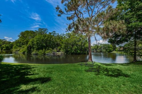 1340 Preservation Way, Oldsmar FL  34677-4824 exterior