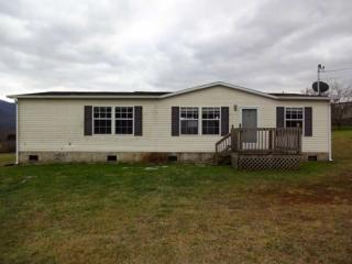 199 Panhandle Rd, Elizabethton, TN 37643-6965