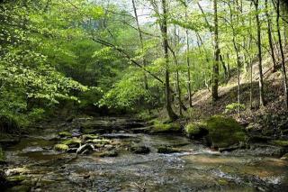 300 County Road 470, Englewood, TN 37329-5377