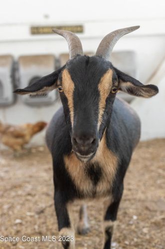 1325 Friday Rd, Cocoa FL  32926-3440 exterior