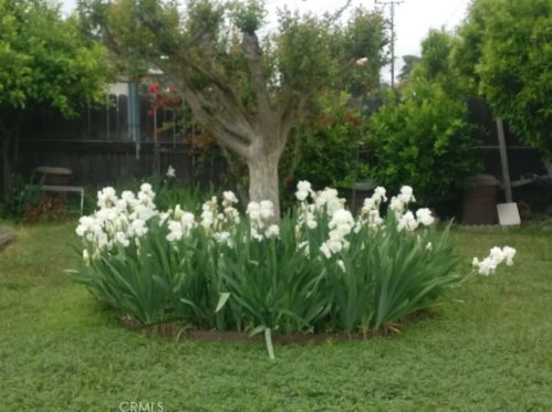 407 Lang Ave, West Covina, CA 91790-1513