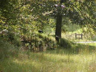 8799 Roberts Rd, Blmgtn, IN 47401-9730