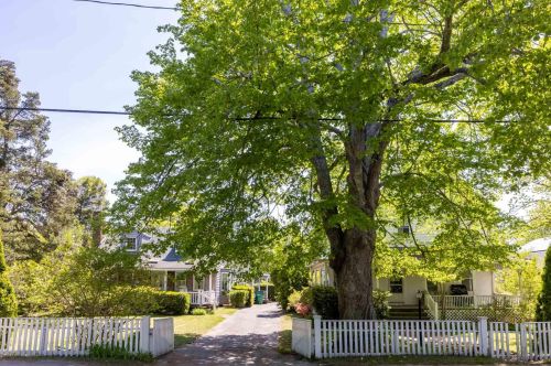 130 Cooke St, Marthas Vineyard, MA 02539-5915