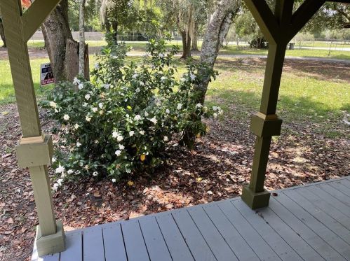 32143 Wacassa Trl, Mount Plymouth FL  32776-8936 exterior