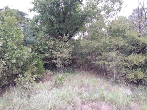 2521 Highway 62, Corning, AR 72422-7745