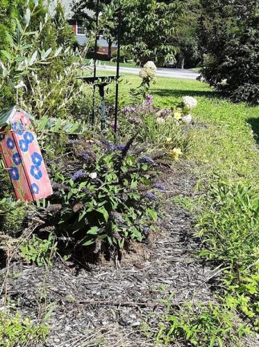 20 Scotchtown Pl, Middletown NY  10941-1434 exterior