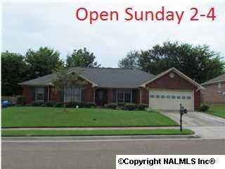 12010 River Canyon Rd, Huntsville, AL 35803-2973