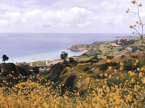 30792 Ganado Dr, Palos Verdes Estates CA  90275-6224 exterior