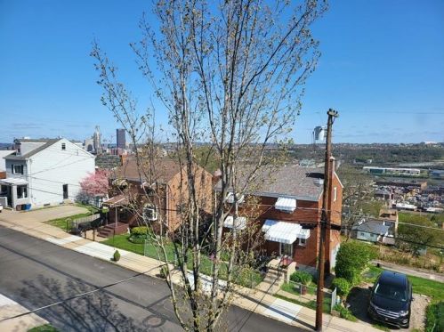 2422 Cobden St, Pittsburgh PA  15203-2712 exterior