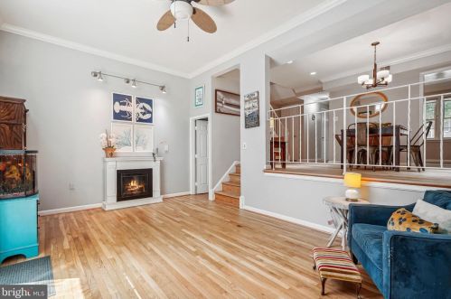 5269 Bradgen Ct, Springfield VA 22151-3524 exterior