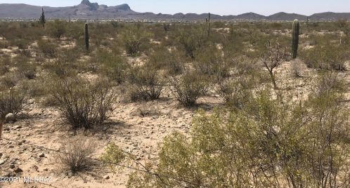 10031 Camino Pico Vis, Tucson, AZ 85742-8678