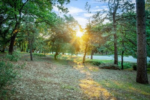 17444 Alexandra Way, Grass Valley CA  95949-7181 exterior