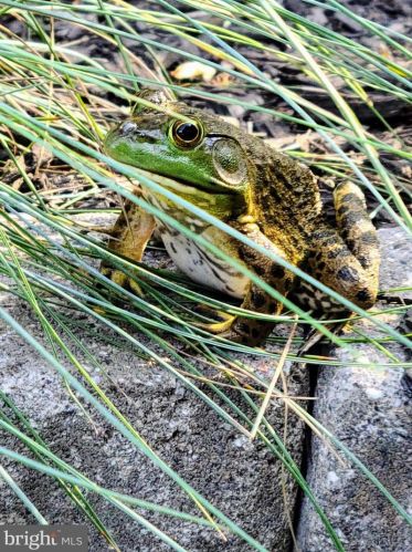 1139 Wilson Ave, Glen Mills PA  19342-9610 exterior