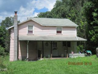 29 Depot Hill Rd, East Lawrenceville, PA 16929-8815