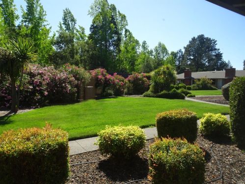 6 Woodgreen St, Santa Rosa CA  95409-5914 exterior