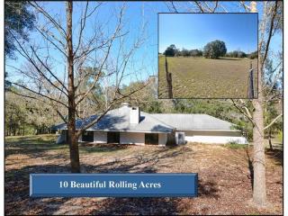 17650 Highway 452, Umatilla, FL 32784-7805