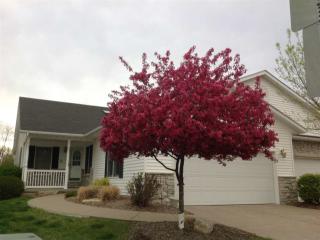 702 Wells Fargo Trl, Le Claire, IA 52753-9229