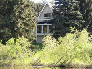 65 Livermore Rd, Dryden, NY 13053-9503