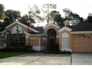 8235 Riviera Shore Ct, Orlando, FL 32817-1561