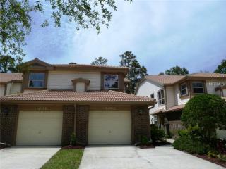 1268 Clays Trl, Oldsmar, FL 34677-4865