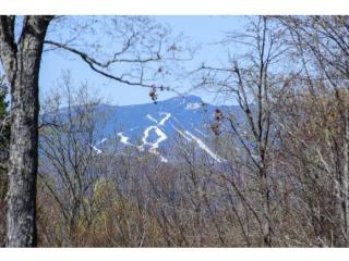 426 Campbell Rd, Morrisville, VT 05661-8472