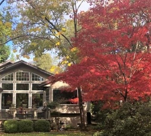 13572 Lake Wildwood Dr, Lake Wildwood CA  95946-9500 exterior