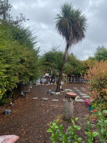217 Magnolia Ave, Santa Rosa, CA 95407-7915