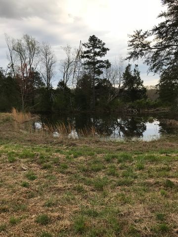 445 Boofer Ln, Evensville, TN 37332-3144