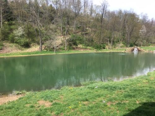 805 Ridge Rd, Shelocta, PA 15774-7528