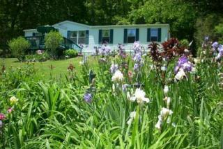 522 Boyd Harmon Rd, Vilas, NC 28692-9560